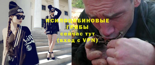 сатива Волосово