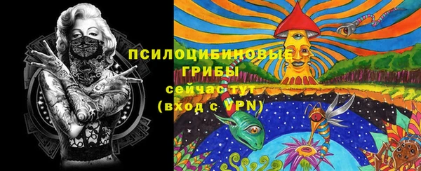 a pvp Володарск