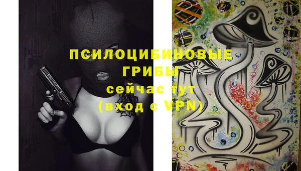 спайс Пестово