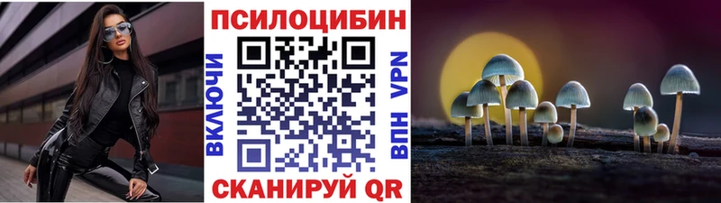блэк спрут как зайти  Кущёвская  Галлюциногенные грибы Psilocybe 