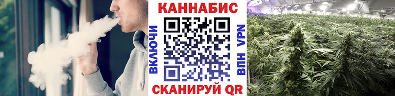 Шишки марихуана план закладки Кущёвская